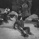 Illustration for article titled Behind-The-Scenes Photos From Making Of Dune Are Delightfully Trippy